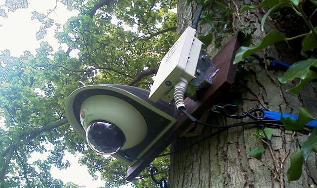 wireless cctv camera and WIFI access point installed on tree in church graveyard to give cctv coverage to prevent new lead roof being stolen after old lead roof was stolen stevenage hertfordshire